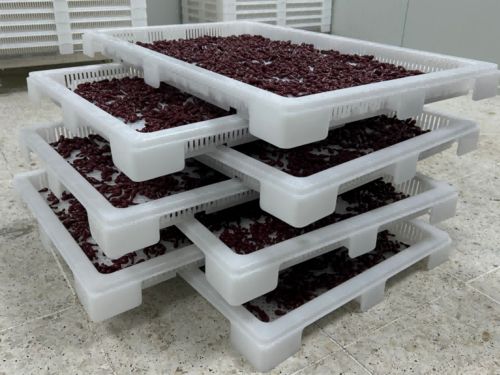 Latest company news about Qu'est- ce que l'encapsulation par gel doux?
